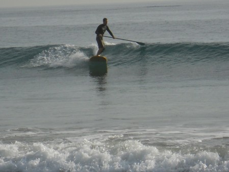Surfing in January