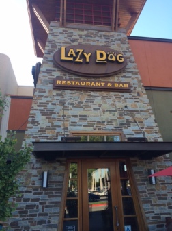 The Birthday boy - Picture of Lazy Dog Restaurant & Bar, Las
